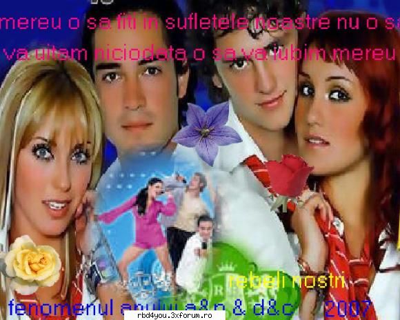 bannere faqte doar voi sper placa