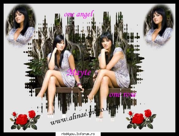 bannere faqte doar voi mai pun yo,scz are siteul meu facut ptr site loca x los a y m&c