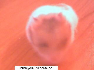 .............:::::::::FamILy::::::::::::.................. - hilary_vondy - about u...just u..because you're unik