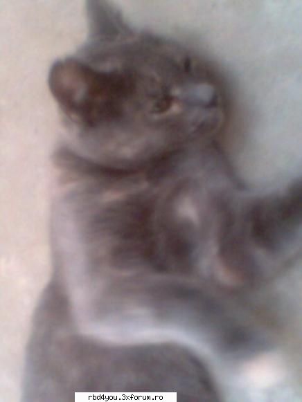 .............:::::::::FamILy::::::::::::.................. - ally_rbd_4u - about u...just u..because you're unik