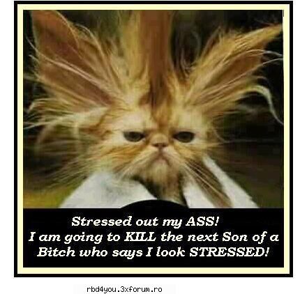 ..::FuNnY PiCs::.. - hilary_vondy - fun stuff