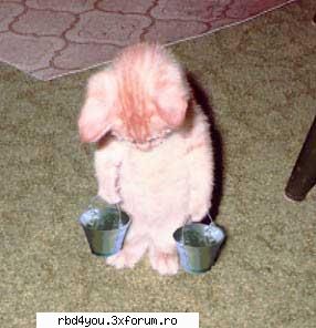 ..::FuNnY PiCs::.. - hilary_vondy - fun stuff