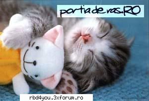 ..::FuNnY PiCs::.. - hilary_vondy - fun stuff