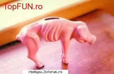 ..::FuNnY PiCs::.. - hilary_vondy - fun stuff