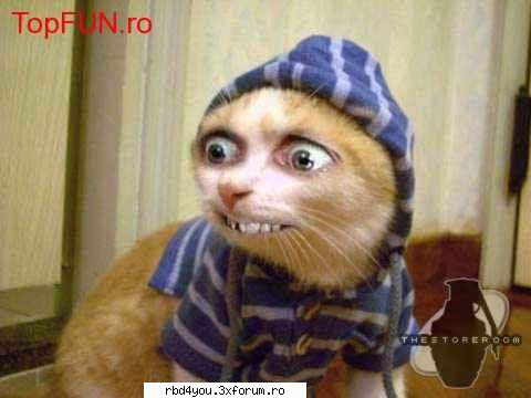 ..::FuNnY PiCs::.. - hilary_vondy - fun stuff