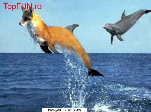 ..::FuNnY PiCs::.. - hilary_vondy - fun stuff