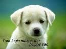 ..::FuNnY PiCs::.. - 2 uitati aici si un cutu sad - fun stuff