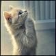 ..::FuNnY PiCs::.. - 3 asta nu e prea funny - fun stuff