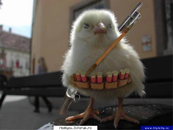 ..::FuNnY PiCs::.. - hilary_vondy - fun stuff