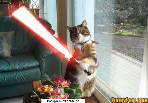 ..::FuNnY PiCs::.. - hilary_vondy - fun stuff