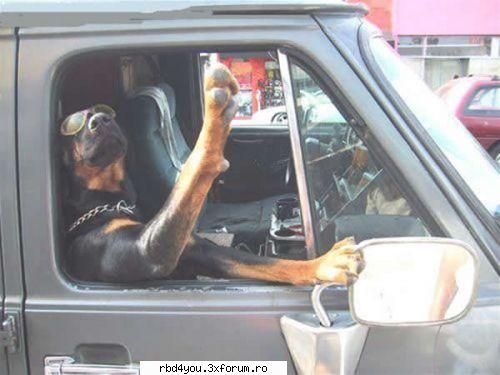 ..::FuNnY PiCs::.. - am gasit..1-ce tare is - fun stuff