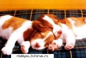 ..::FuNnY PiCs::.. - .'^Pitik.'Dulcik.'^ - fun stuff