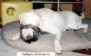 ..::FuNnY PiCs::.. - .'^Pitik.'Dulcik.'^ - fun stuff