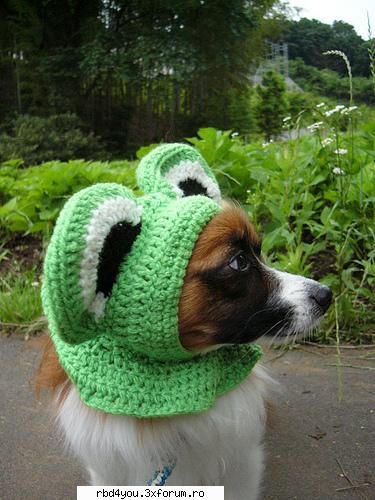 ..::FuNnY PiCs::.. - .'^Pitik.'Dulcik.'^ - fun stuff