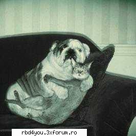 ..::FuNnY PiCs::.. - .'^Pitik.'Dulcik.'^ - fun stuff