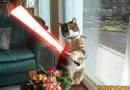 ..::FuNnY PiCs::.. - .'^Pitik.'Dulcik.'^ - fun stuff