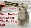 ..::FuNnY PiCs::.. - .'^Pitik.'Dulcik.'^ - fun stuff
