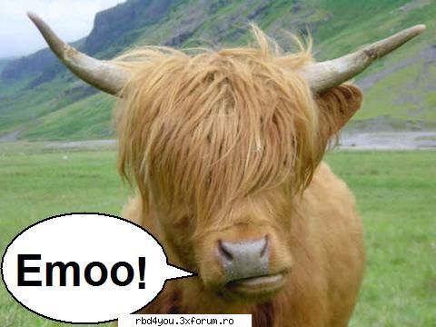 ..::FuNnY PiCs::.. - dul_my_idolo - fun stuff