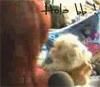 ............:::::::::::::POZE::::::::::::................. - dul_my_idolo - Dulce