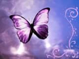 .....:::::aVaTaRe cOoL.....::::::: - ^ kIdA cu oChI mOoV^ - about u...just u..because you're unik