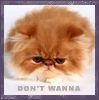 .....:::::aVaTaRe cOoL.....::::::: - hilary_vondy - about u...just u..because you're unik