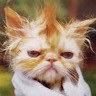 .....:::::aVaTaRe cOoL.....::::::: - hilary_vondy - about u...just u..because you're unik