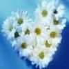 .....:::::aVaTaRe cOoL.....::::::: - hilary_vondy - about u...just u..because you're unik