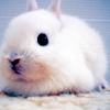 .....:::::aVaTaRe cOoL.....::::::: - hilary_vondy - about u...just u..because you're unik
