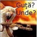 manele - dul_my_idolo - muzik